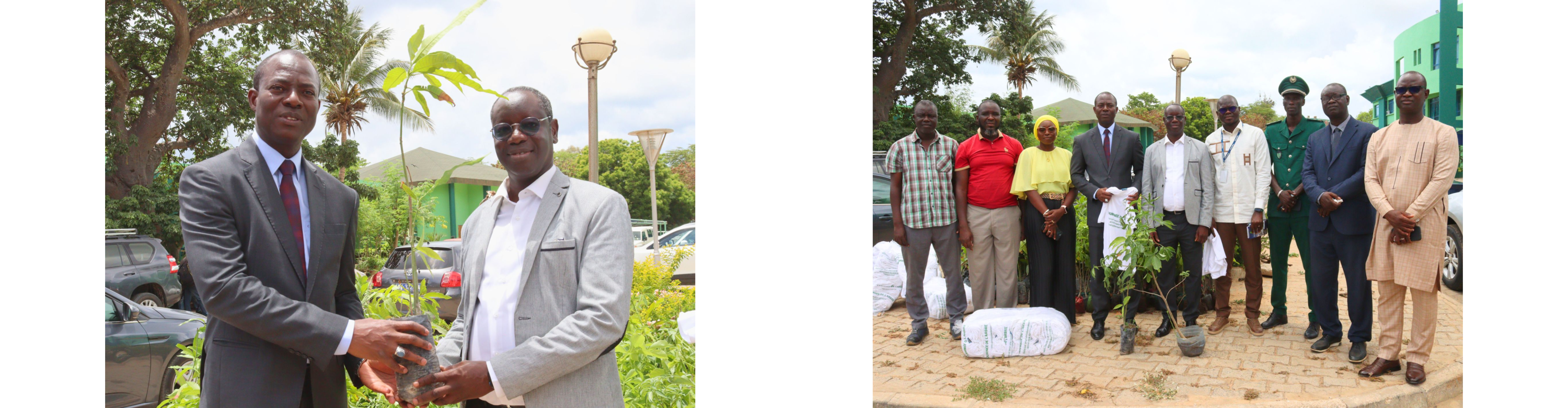 QHSE : Journée de l'Arbre 2025 - Visite METE