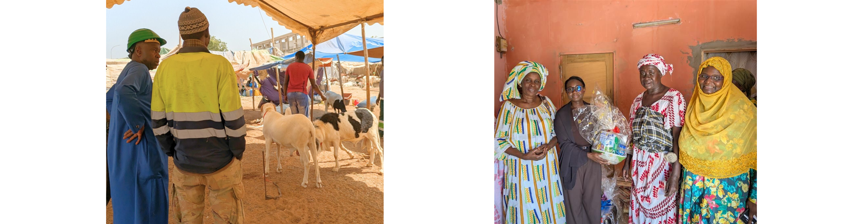 Direction Générale et RSE : Tabaski 2025 Don de moutons