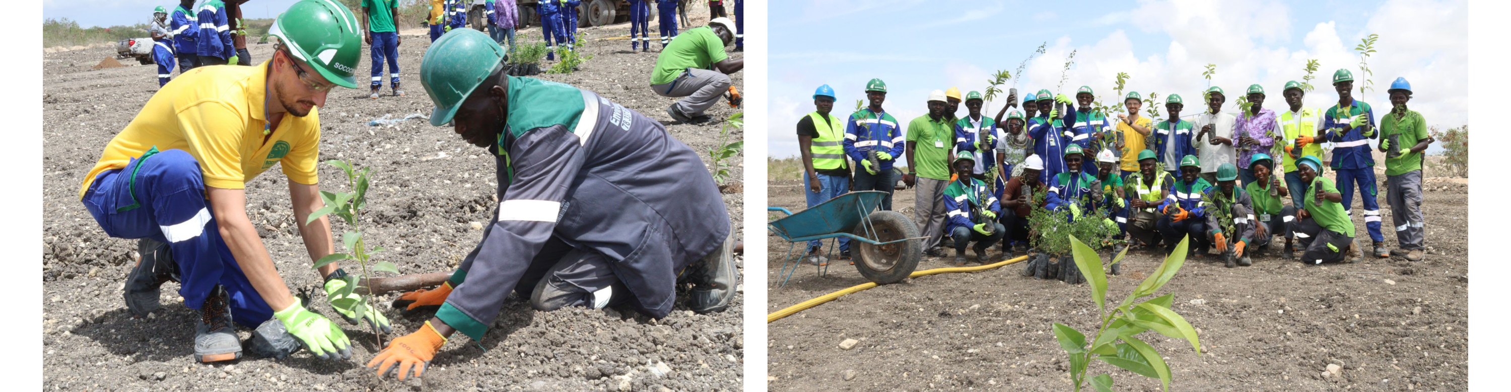 QHSE : Journée de l'Arbre 2025 - Campagne de reboisement