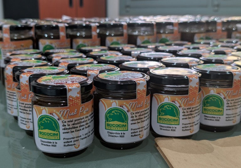 RSE : Journée des abeilles 2025