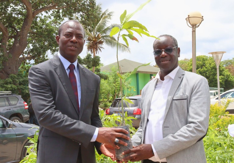 Journée de l'Arbre : SOCOCIM Industries aux côtés du Ministère de l'Environnement et de la Transition écologique