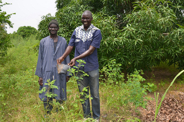 Programme fruiticulture_ Association IRRIGASC