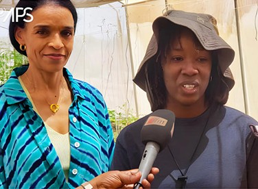 Agriculture : La Fondation SOCOCIM soutient la ferme Foroba