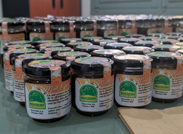 RSE : Journée des abeilles 2025 