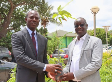 SOCOCIM engagée à la Journée nationale de l'Arbre 