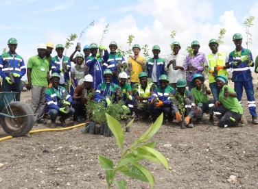 Journée de l'Arbre: Reboisement dans nos carrières